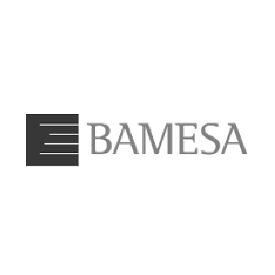 bamesa