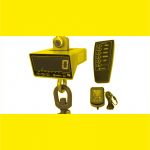 Hook Block Scale - Weighing Solutions - Airpes - Product